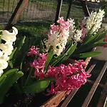 Agroturismo Paglia&fieno *